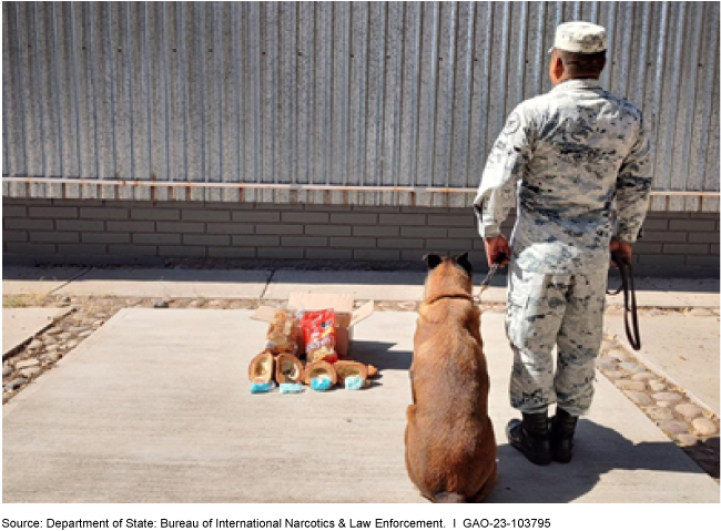The backs of a soldier and a detection dog as they look at fentanyl on the ground in front of a wall.